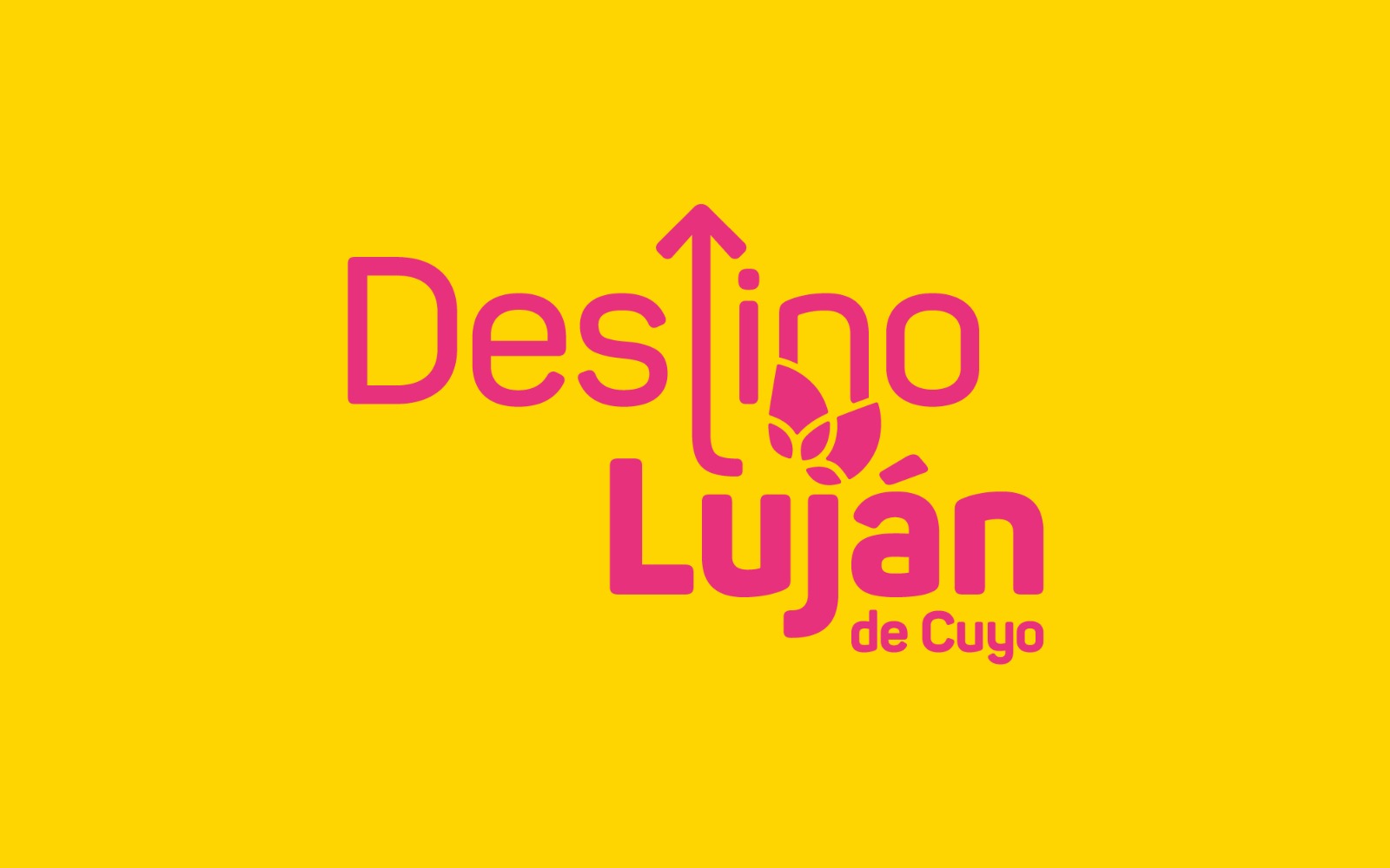 Imagen b